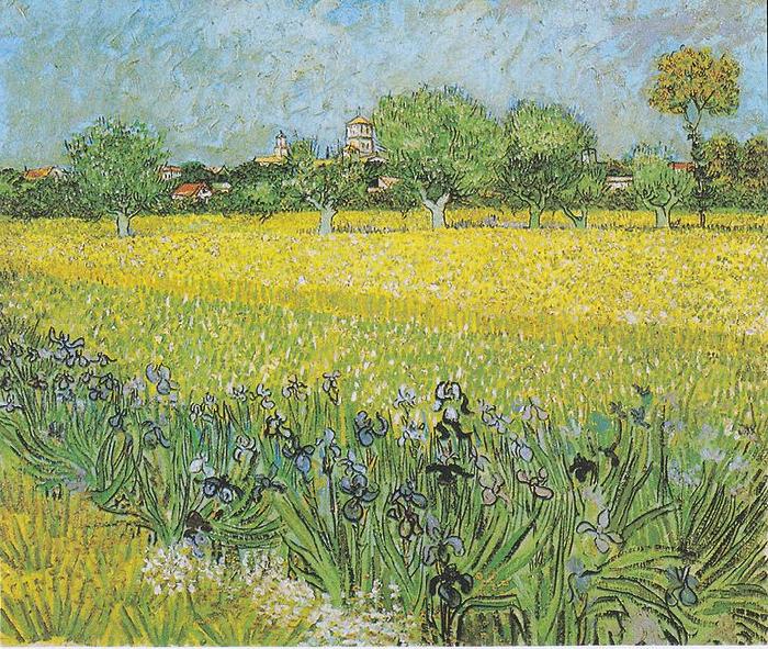  View of Arles with irises in the foreground